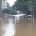 Zwinger_2