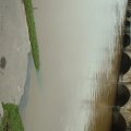DSCF0004