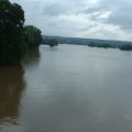 DSCF0008