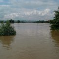 DSCF1173