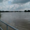 DSCF1175