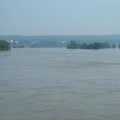 DSCF0011