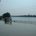 DSCF0042