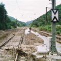 F1000019