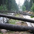 B170_zwischen_Kipsdorf_und_Schmiedeberg_7