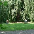 Wachwitz008