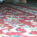 Bild 013