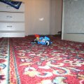 Bild 029