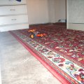 Bild 033