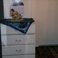 Bild 098