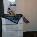 Bild 099