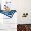 Bild 100