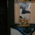 Bild 115