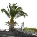 P1000702