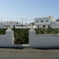 P1000784