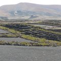 P1000997