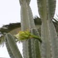 P1010180