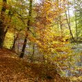 01_Schwarzatal_003