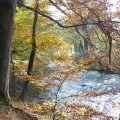 01_Schwarzatal_004