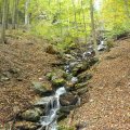 01_Schwarzatal_020