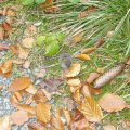01_Schwarzatal_040
