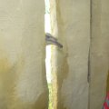 P1020781