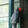P1020830