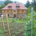 Weingut "Mariaberg", unsere erste Unterkunft bei Familie Fritz in Meißen