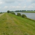 Auf dem Deich: links der Radweg, rechts ein Tümpel, dann viel Wiese und irgendwo dahinter dann auch mal die Elbe