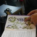 P1040072