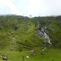 Mittelstation - alles grün und die Kühe weiden auf der Alm.
