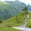 Flori auf dem Weg zum WC - so wie bei jedem Zwischenstop an diesem Tag