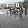 Und erscheinen auf der anderen Straßenseite wieder an der Oberfläche.