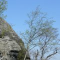 P1030405