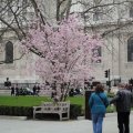 20100402_130625