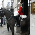 20100402_162746