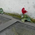 20100402_170028
