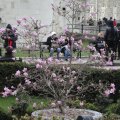 20100402_182852