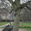 20100403_184406