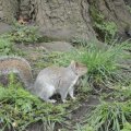 20100404_150714