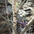 DSC00940