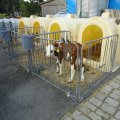 DSC01519