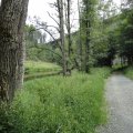 DSC01560