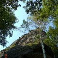 CIMG1486