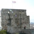 P1060239