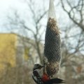 20110319_135544