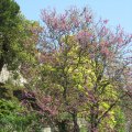 20110422_130736