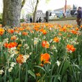 20110422_191146