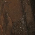 IMG_0421