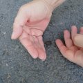20110710_101103